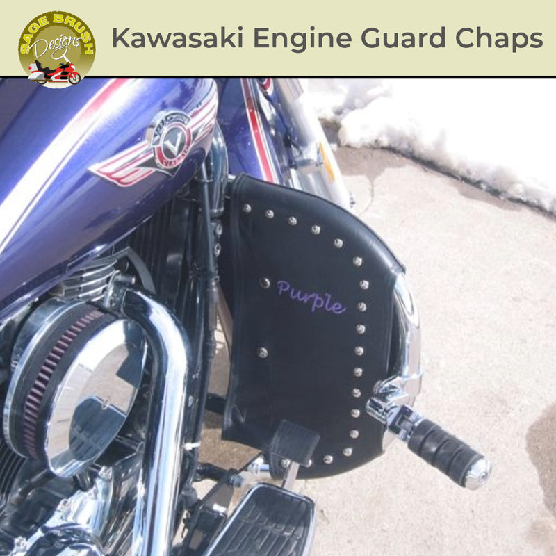 *NEW Kawasaki Engine Guard Chaps