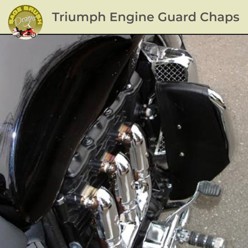 *NEW Triumph Engine Guard Chaps